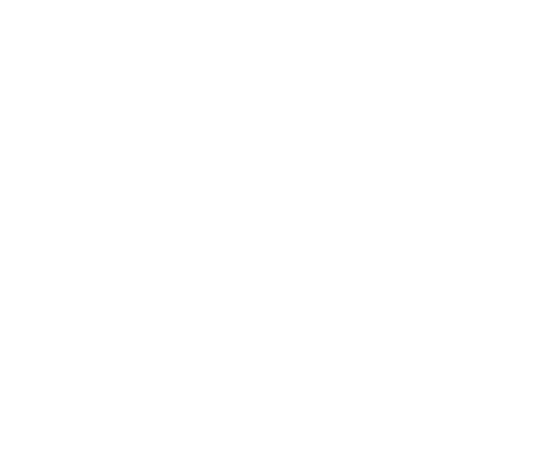Право-300