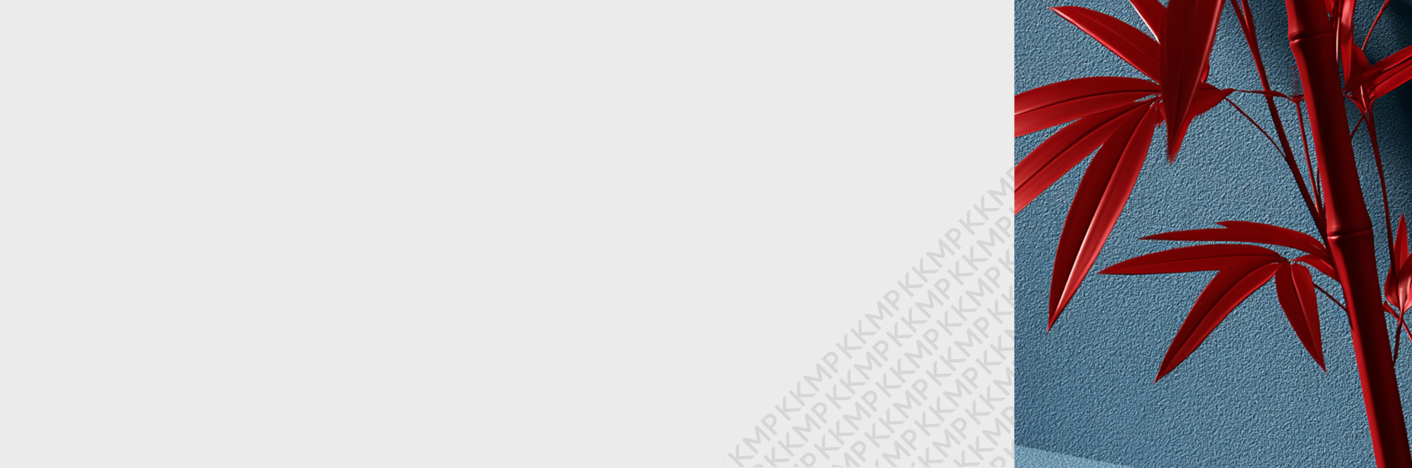 Новая редакция Закона КНР о&nbsp;товарных знаках  - Изображение